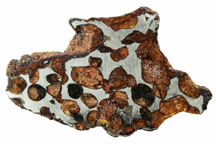 Polished Sericho Pallasite Meteorite ( grams) - Kenya #242957
